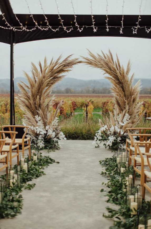 Why is Pampas Grass Popular in Modern Decor?